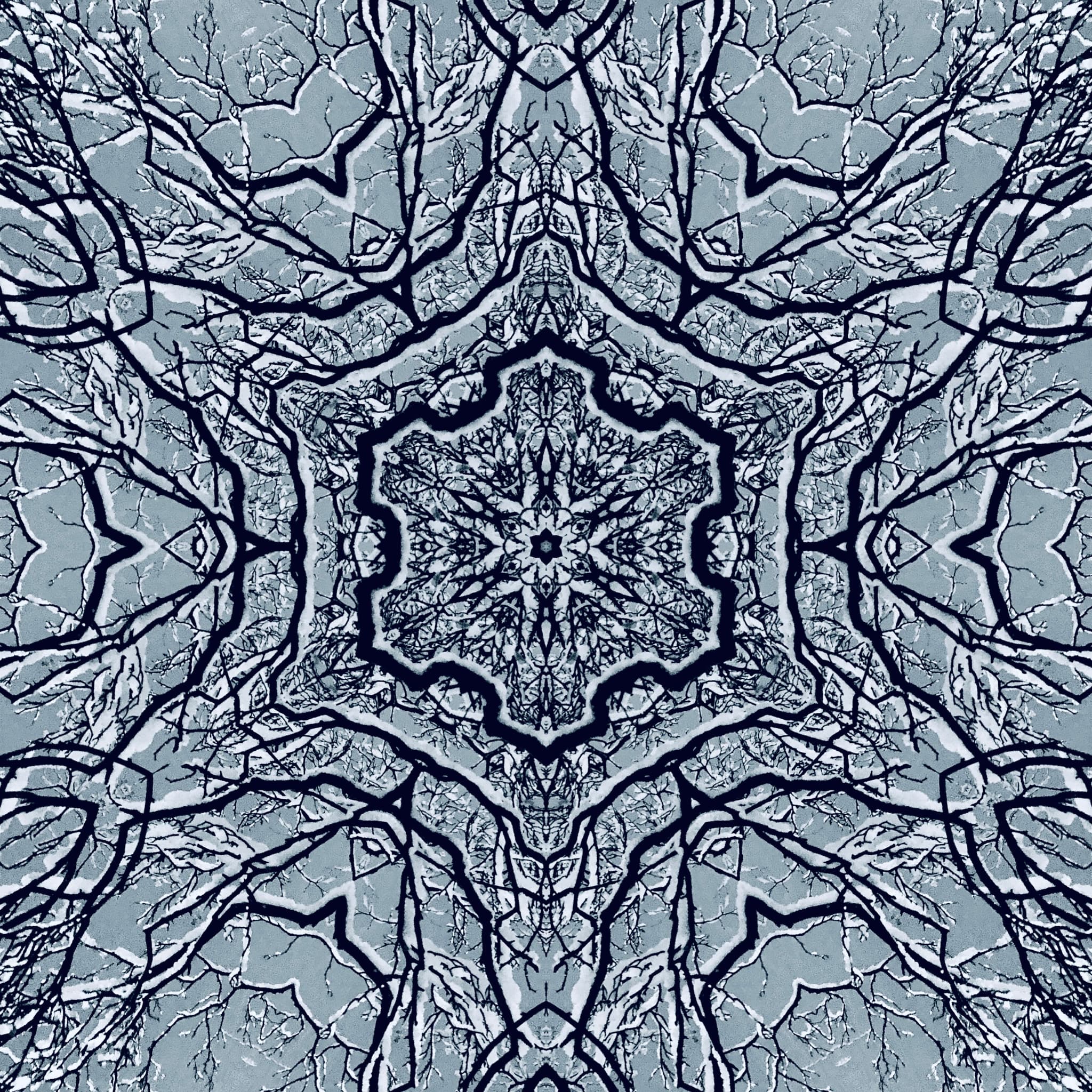 SNOW SYMMETRY
