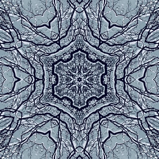 SNOW SYMMETRY