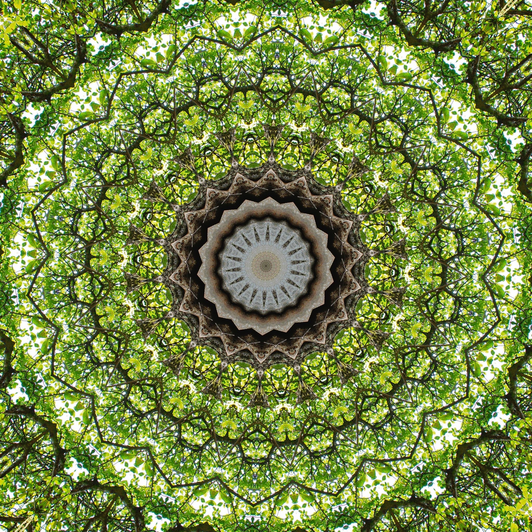 GREEN SYMMETREE MANDALA