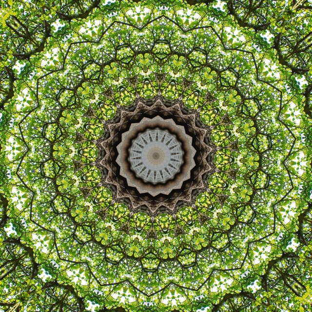 GREEN SYMMETREE MANDALA