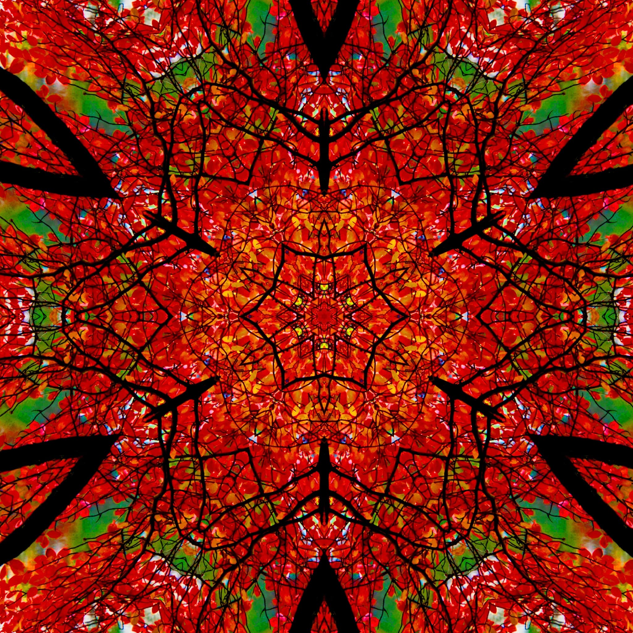 FALL HEX SYMMETRY