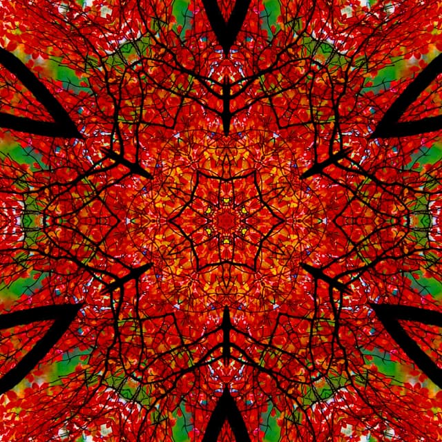FALL HEX SYMMETRY