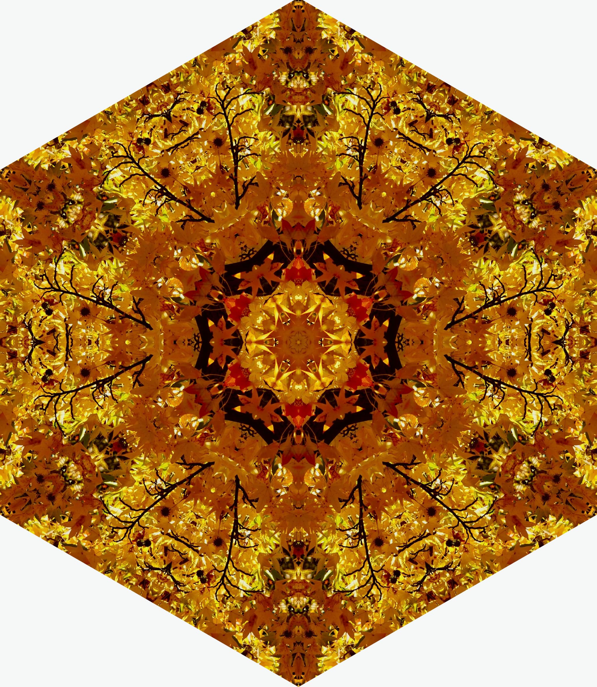 GOLDEN HEX SYMMETREE