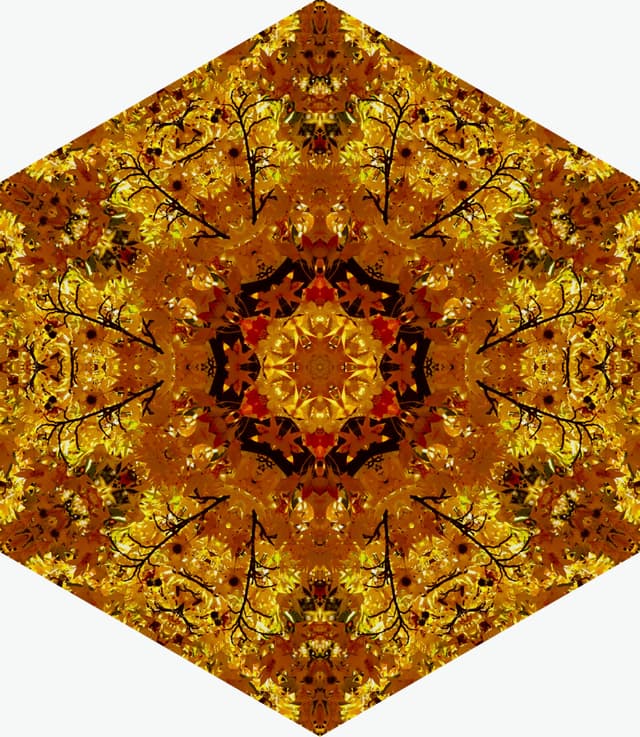 GOLDEN HEX SYMMETREE