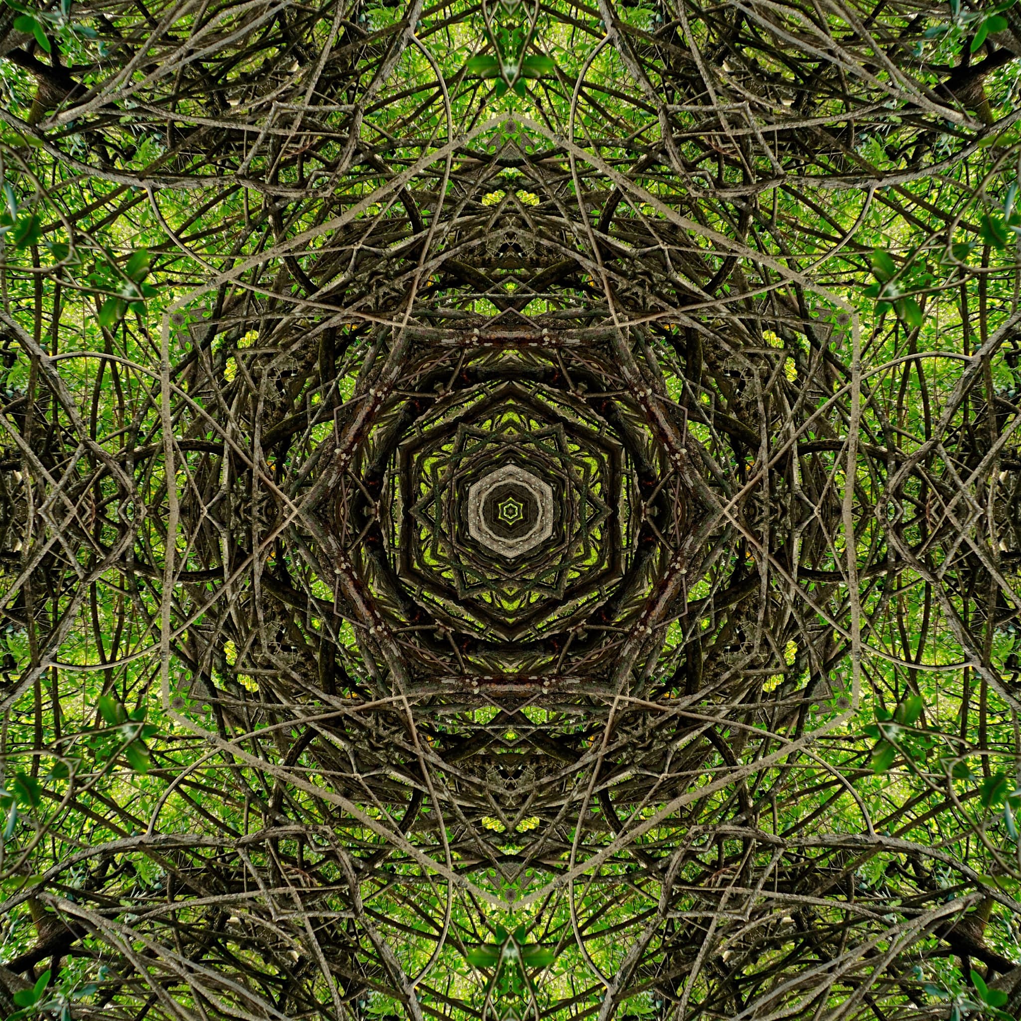 GREEN HEX SYMMETRY