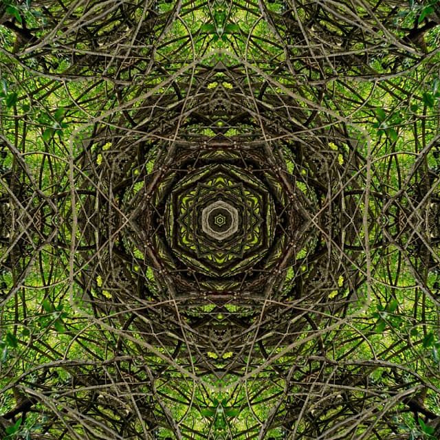 GREEN HEX SYMMETRY